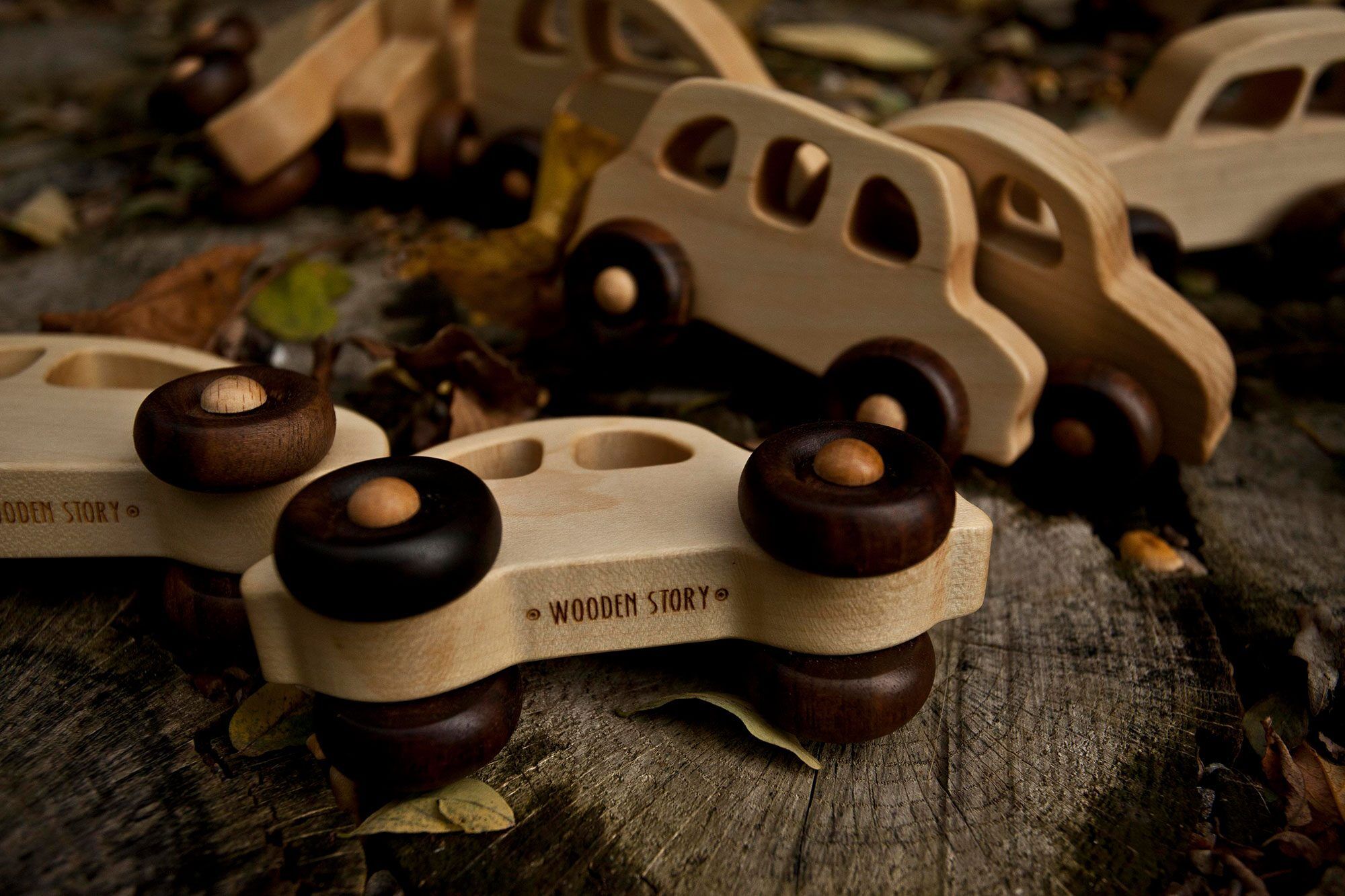 Wooden Toy on Wheels Car