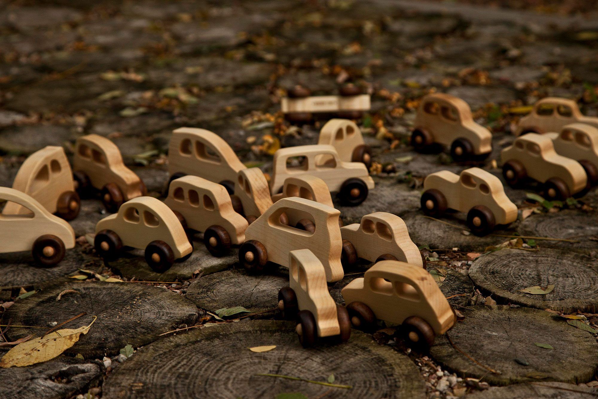 Wooden Toy on Wheels Car