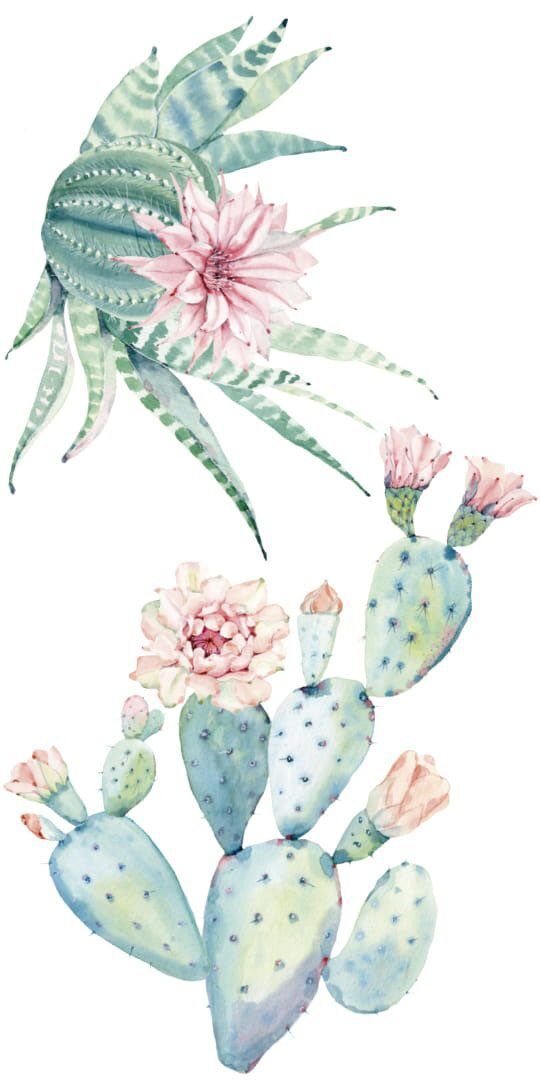 Wall stickers - Boho-Catus 2XL
