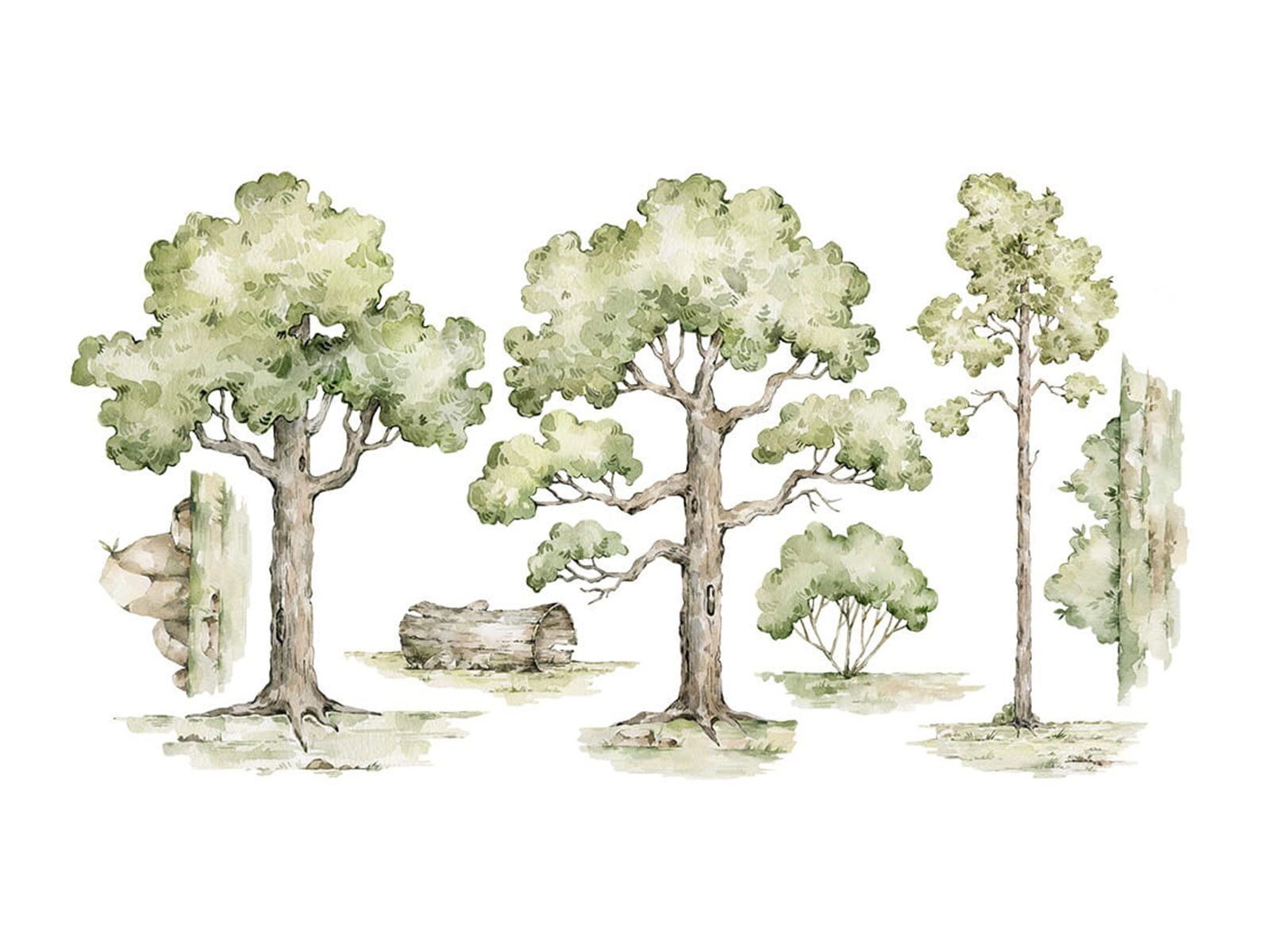 Wall Sticker - Into the forest